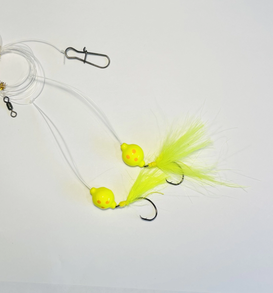 Pompano Catchers Surfari Series – Pompano Rich